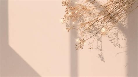 Download premium image of Aesthetic flower HD wallpaper, minimal beige ...