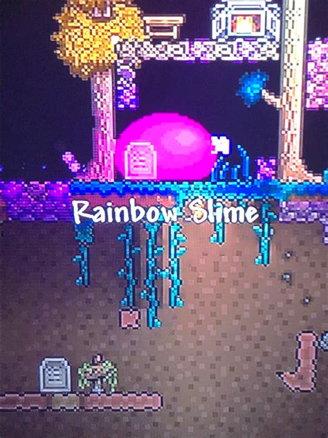 Is this rare or something because I found it today and I was exited to find it : r/Terraria