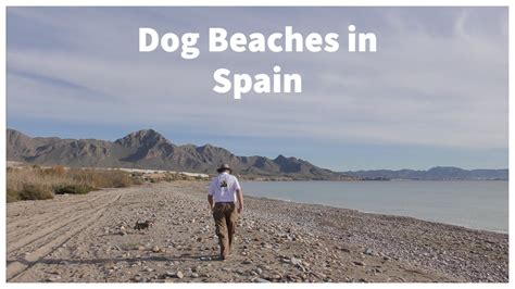 Camposol Spain Dog Beaches - YouTube