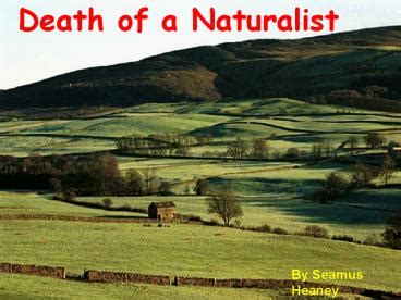 PPT – Death of a Naturalist PowerPoint presentation | free to view - id: 17858-ZjI0Y