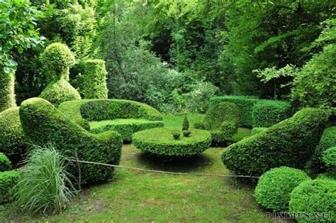 Topiary Art | Art