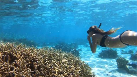 GO PRO : Amazing SNORKELING in Tahiti | French Polynesia - YouTube