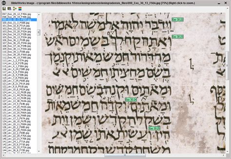 Leningrad Codex in BibleWorks 10 – Words on the Word