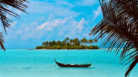 PM Modi In Lakshadweep: 5 Things To Do In Lakshadweep In 2024 | Destinations News, Times Now