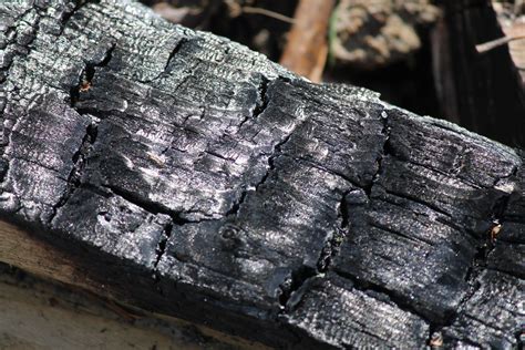 Free Images : tree, wood, trunk, log, fire, soil, firewood, black ...