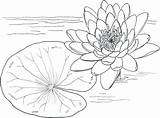 Monet Printable Coloring Pages Sketch Page sketch template