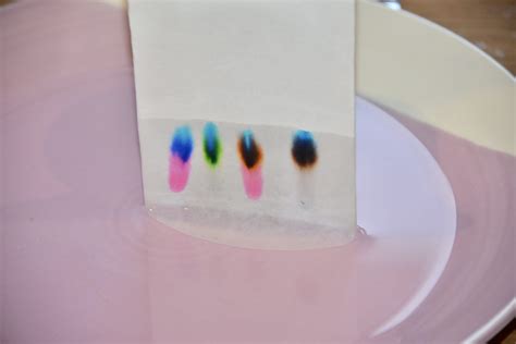 Paper Chromatography Experiment - Science Experiments for Kids