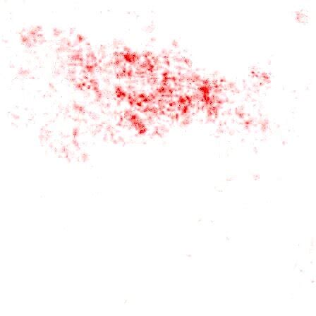 Saliency map visualization of VAS. | Download Scientific Diagram