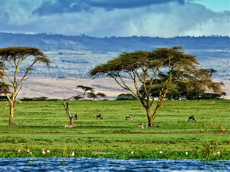 One day Lake Naivasha excursion from Nairobi | OutdoorTrip