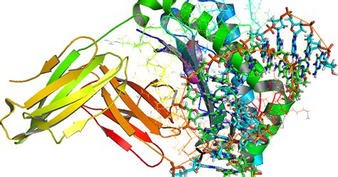 VackvSuG: CTNNB1 catenin (cadherin-associated protein), beta 1 and formation of branching point ...