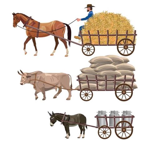 Horse Pulling Cart Illustrations, Royalty-Free Vector Graphics & Clip Art - iStock