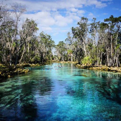 Swimming with Manatees at Crystal River National Wildlife Refuge - Places.Travel