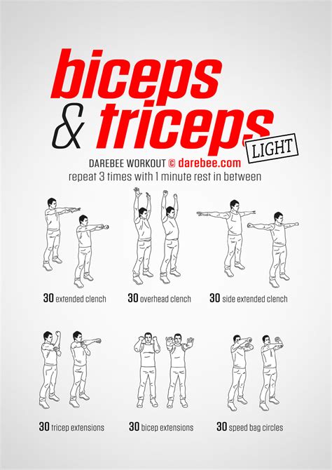 Biceps And Triceps Workout Chart