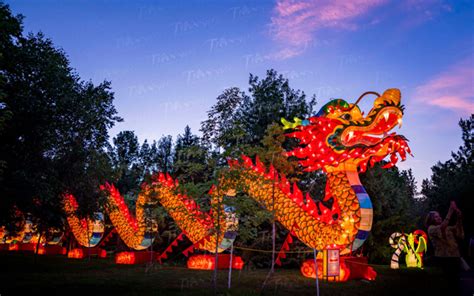 Lantern Festivals & China’s Timeless Culture - Tianyu Arts & Culture