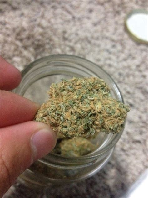 Photos of Double Dream Weed Strain Buds | Leafly