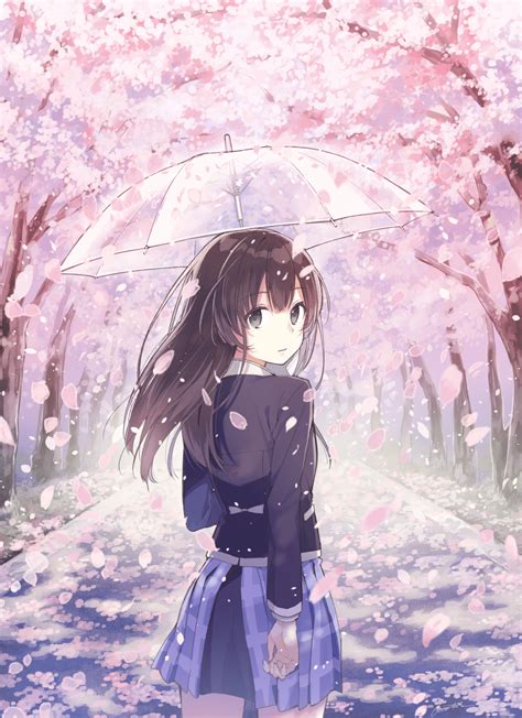 Anime Cherry Blossom Girl Wallpapers - Top Free Anime Cherry Blossom Girl Backgrounds ...