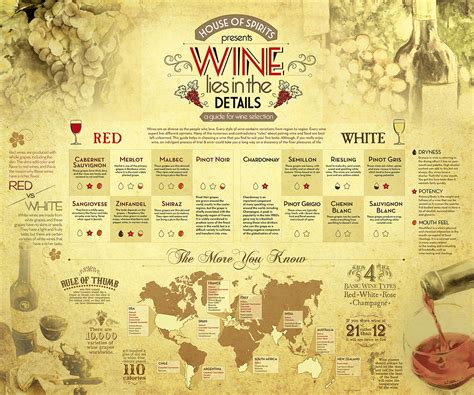 A Guide for Wine Selection (Infographic) on Behance