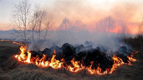 When does Chiang Mai burning season start? When does it end? – Tasty Thailand