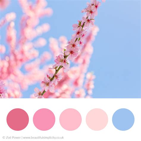 Colour Palette Inspiration by Zoë Power | Beautiful Simplicity