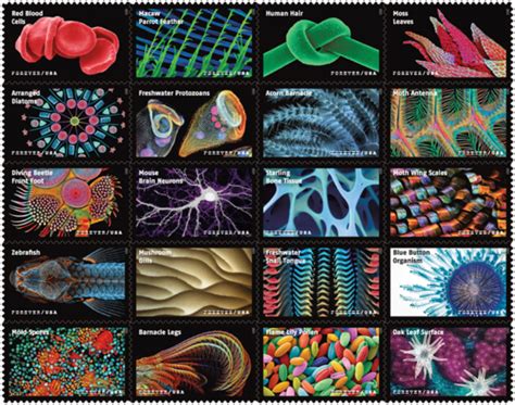 USPS Announces Additional Stamps for 2023 « Adafruit Industries ...