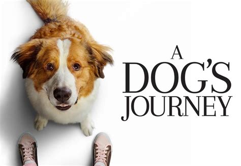 A Dog's Journey | Universal Pictures