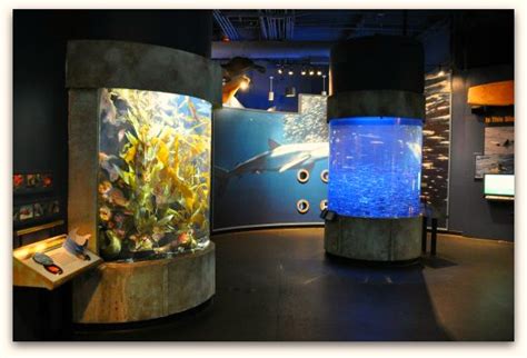 San Francisco Bay Aquarium | SF Tourist Information