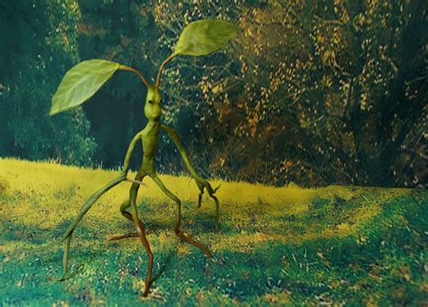 Bowtruckle Pickett - Fantastic Beasts by kessan on DeviantArt