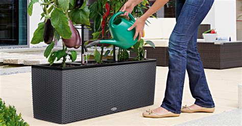 6 Self Watering Outdoor Planters for Easy Gardening