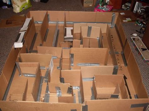 Cardboard Rat Maze (or any small critter) lotsa pics - MISCELLANEOUS TOPICS | Diy rat toys, Rat ...