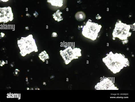 Salt crystal microscope Stock Videos & Footage - HD and 4K Video Clips ...