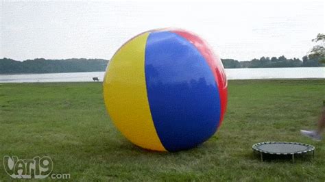 Ball Bounce GIF - Find & Share on GIPHY