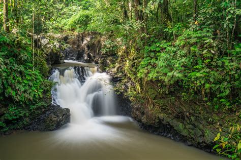 Tawau Hills Park | Eastern Sabah, Malaysia Eastern Sabah - Lonely Planet