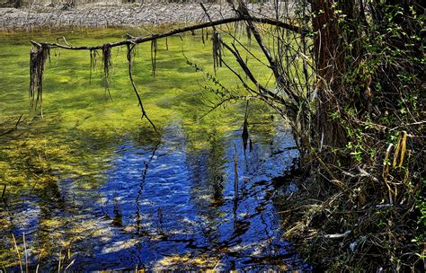 La orilla del río Imagen & Foto | paisajes, naturaleza diversa , estaciones del año Fotos de ...