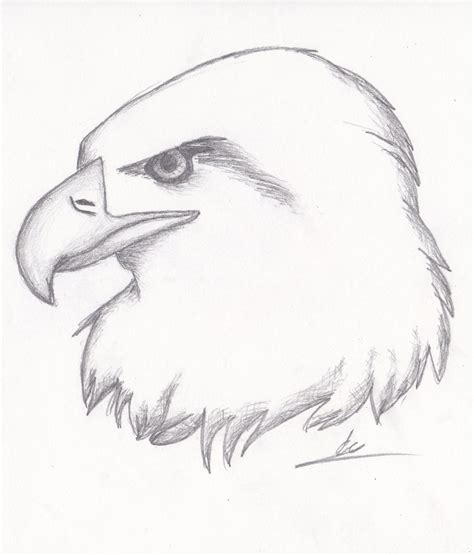 Pencil Drawing Images Animals at GetDrawings | Free download