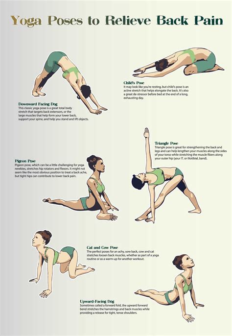 Schon Iyengar-yoga-exercises-for-lower-back-pain-part-1/