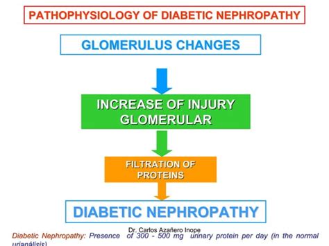 PATHOPHYSIOLOGY OF DIABETIC NEPHROPATHY