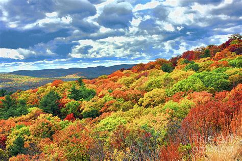 Bear Mountain Fall Foliage Vista Photograph by Regina Geoghan