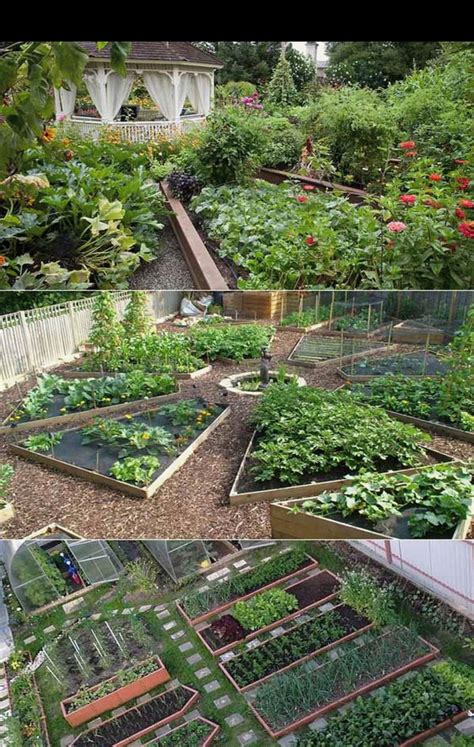 Vegetable Gardening | Gardening Steps #contemporarygardendesign Fresh Garden Design Ideas in ...