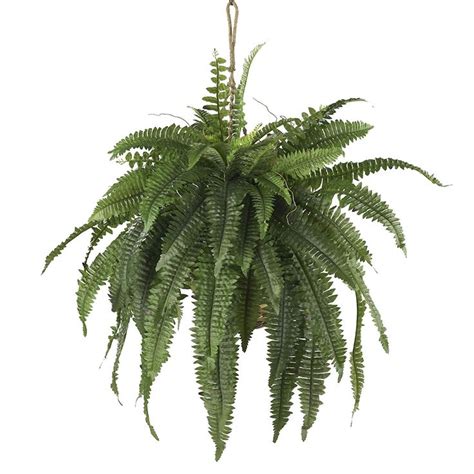 Amazon.com: Nearly Natural 6774 Boston Fern Hanging Basket, Large, Green: Home & Kitchen | Faux ...