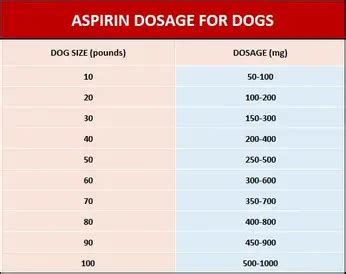 Are Baby Aspirins Safe For Dogs