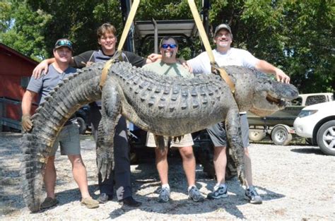 Louisiana Sportsman