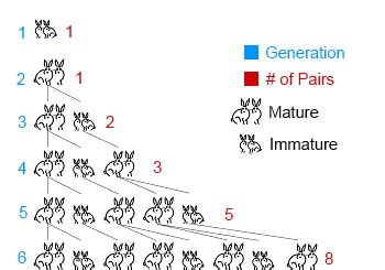 rabbits - Mapping Ignorance