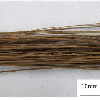 (PDF) Flexural Properties of Long Bamboo Fiber/ PLA Composites