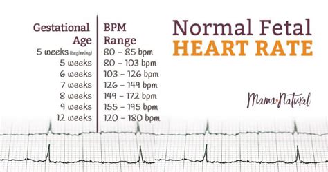 Fetal Heart Rate Chart By Week