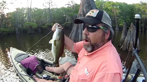 Best Caddo Lake Guide Service | Texas Fishing Guides