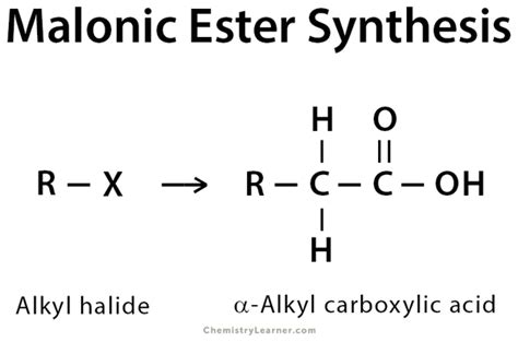 Malonic Ester Synthesis: Definition, Examples, and Mechanism