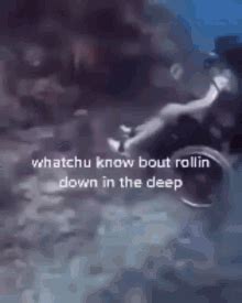 What You Know About Rolling Down In The Deep GIF - What You Know About ...