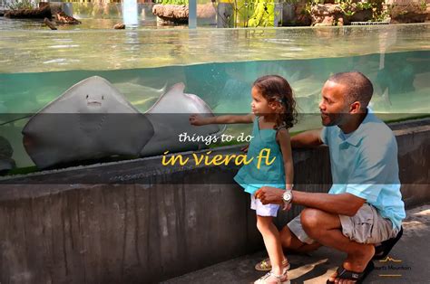 12 Exciting Things To Do In Viera, Fl | QuartzMountain