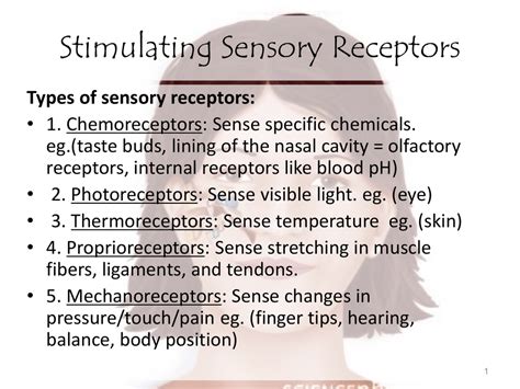 Stimulating Sensory Receptors