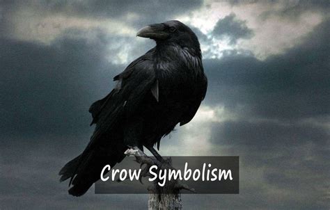 Crow Symbolism: What Do They Mean Spiritually? - Dark, Lugubrious And Mysterious?